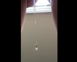 stringy vaginal slime