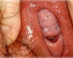 Up close shot of her wet juicy hairy vagina