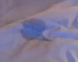 Compilation of natural wetness after orgasm