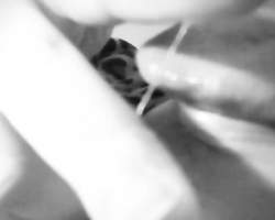 Amateur chick loves tasting her grool